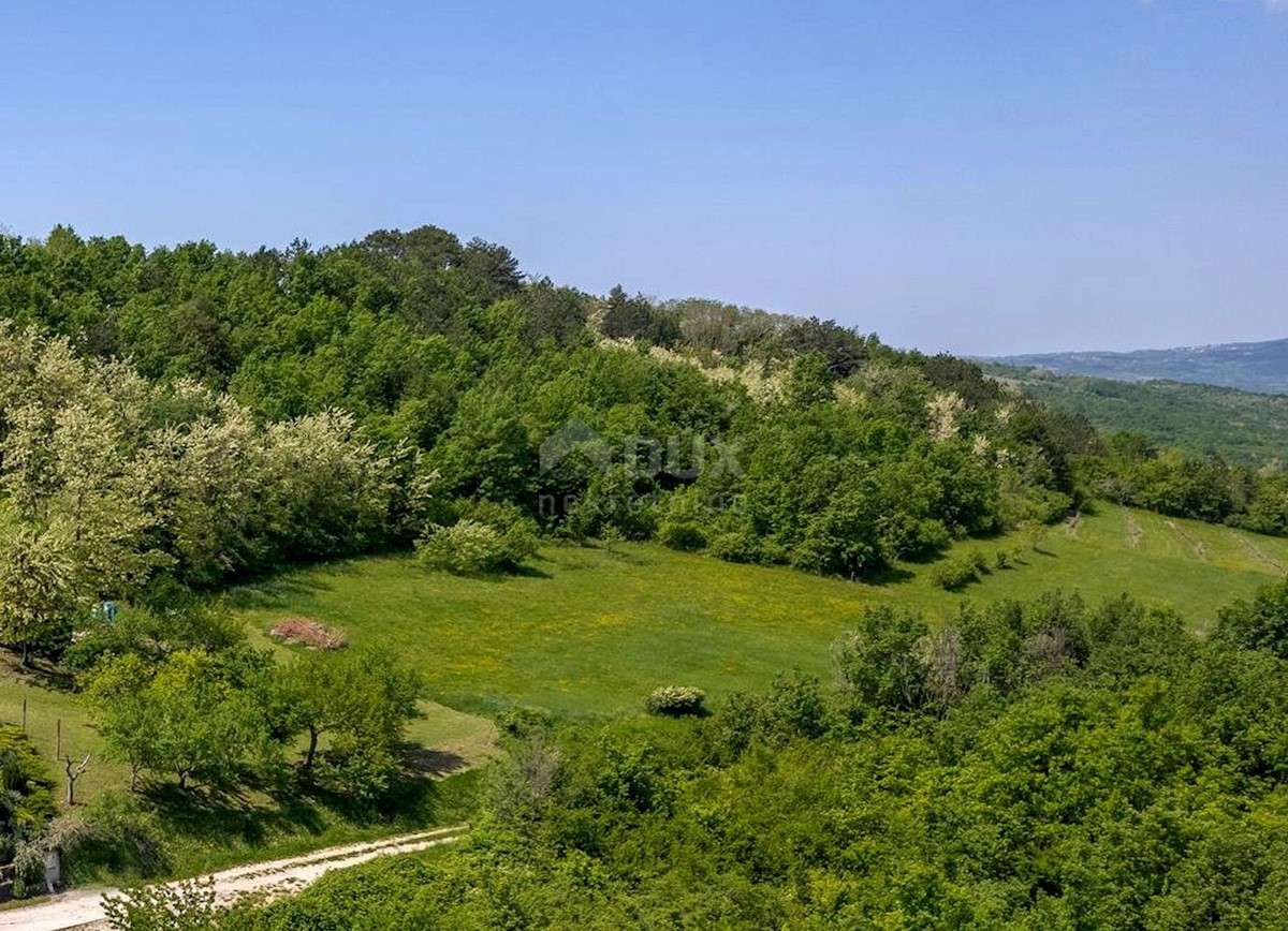 ISTRIA, MOTOVUN - Terreno con vista impressionante