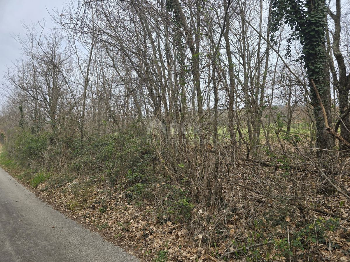 Terreno Labin, 10.053m2