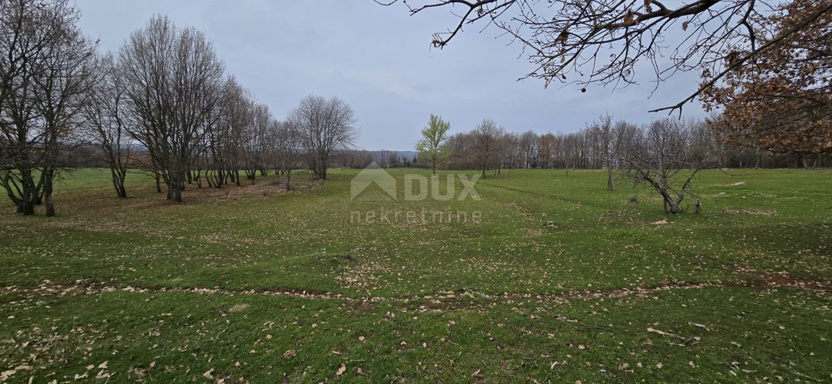 Terreno Labin, 10.053m2