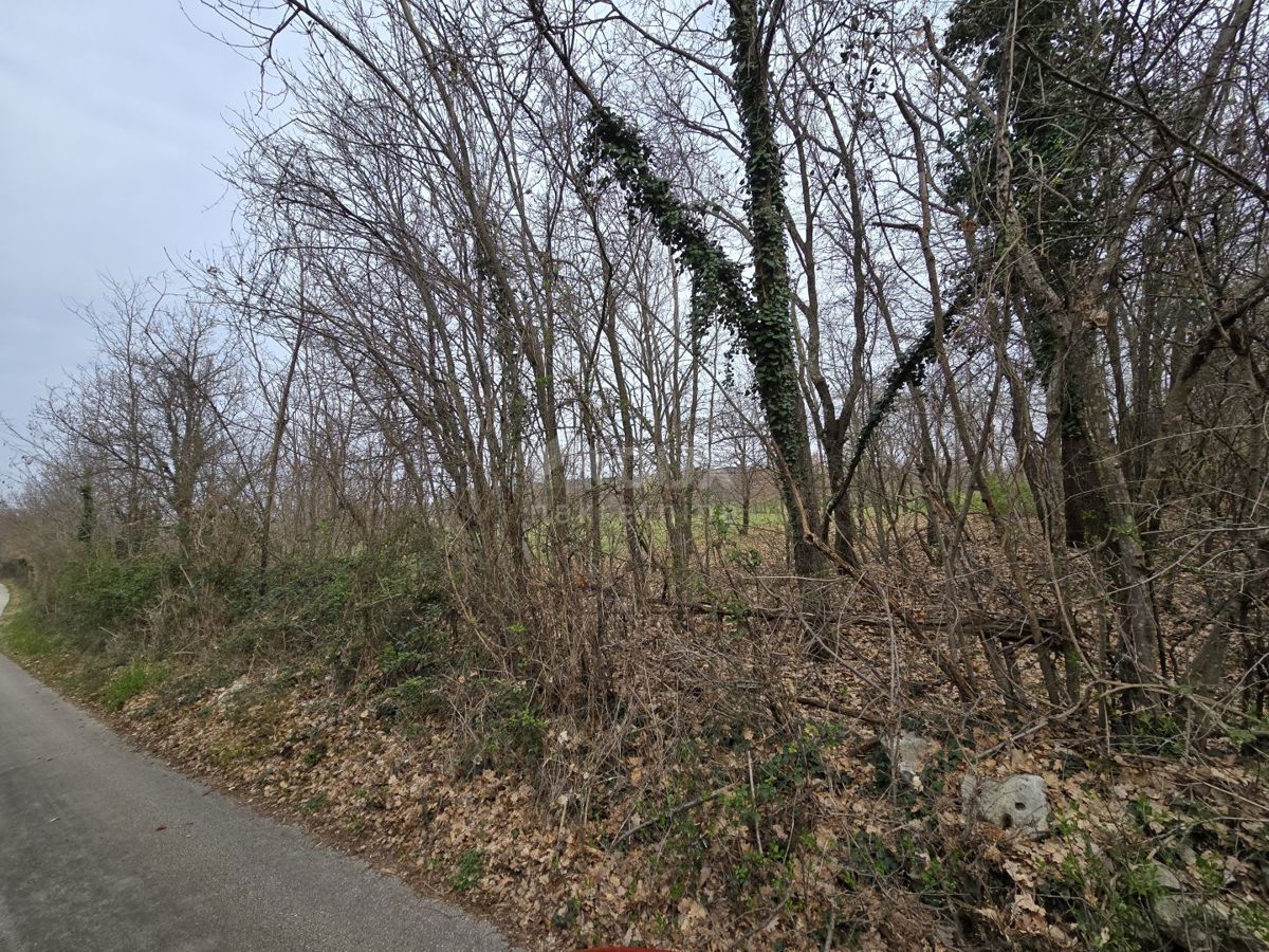 Terreno Labin, 10.053m2