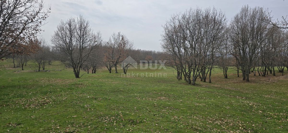 Terreno Labin, 10.053m2