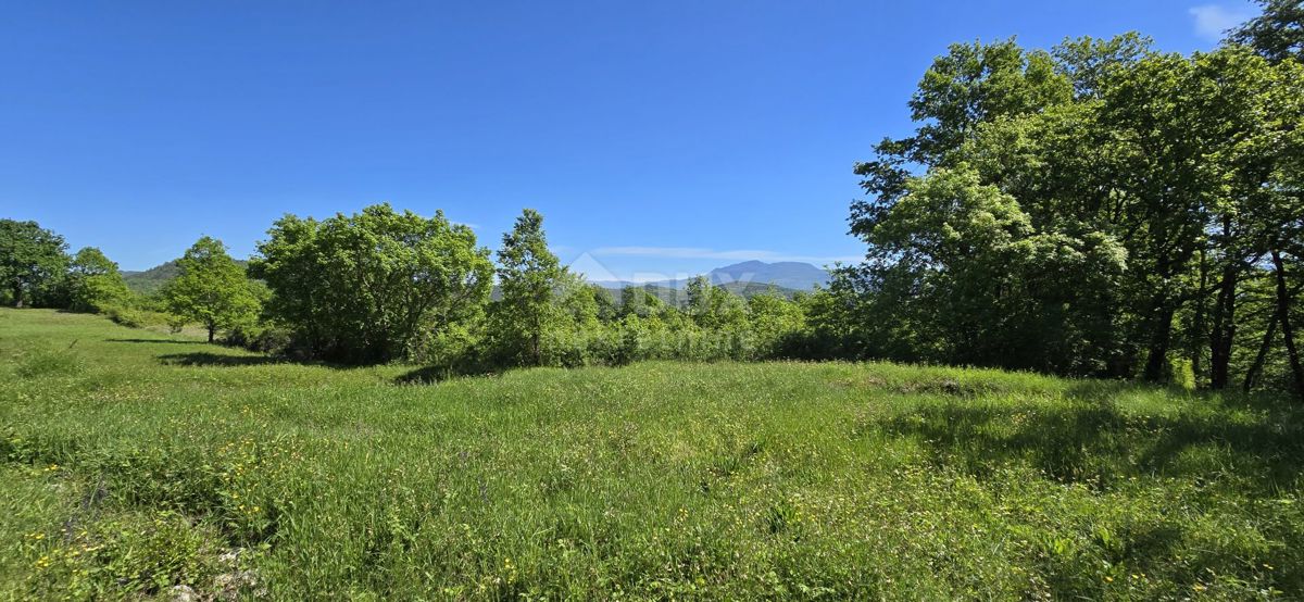 ISTRIA, PIĆAN - Terreno con permesso di costruzione e vista aperta sul Monte Maggiore