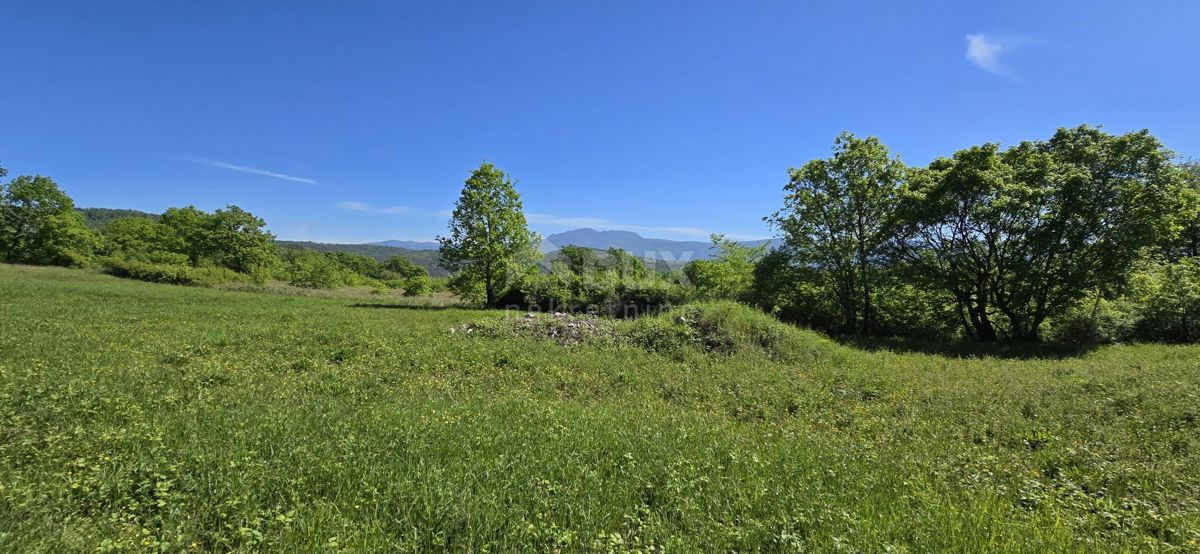 ISTRIA, PIĆAN - Terreno con permesso di costruzione e vista aperta sul Monte Maggiore