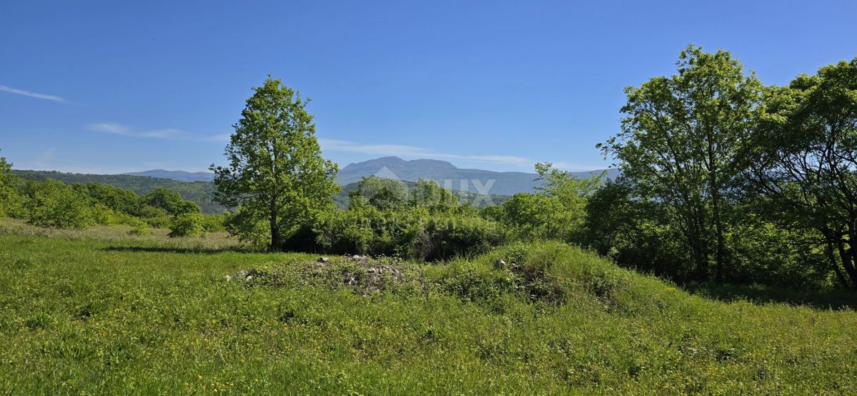 ISTRIA, PIĆAN - Terreno con permesso di costruzione e vista aperta sul Monte Maggiore