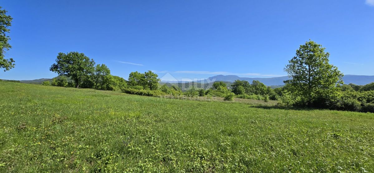 ISTRIA, PIĆAN - Terreno con permesso di costruzione e vista aperta sul Monte Maggiore