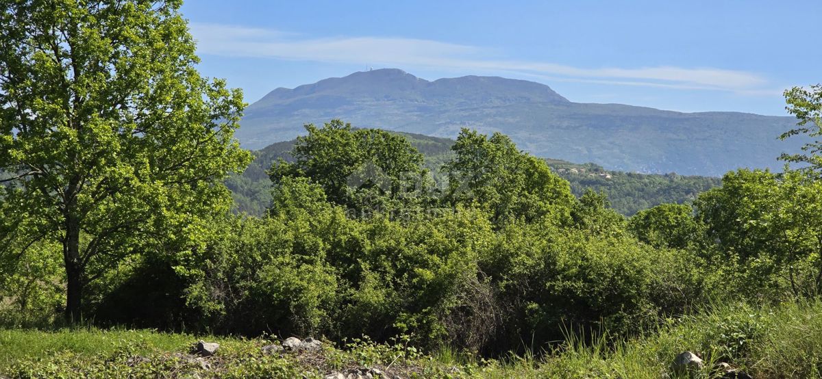 ISTRIA, PIĆAN - Terreno con permesso di costruzione e vista aperta sul Monte Maggiore