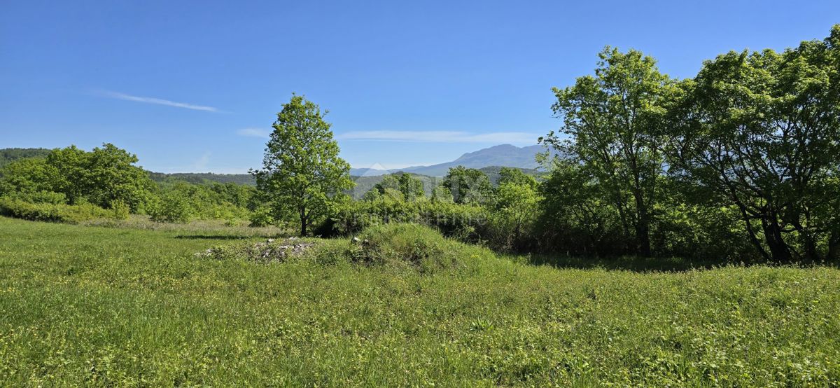 ISTRIA, PIĆAN - Terreno con permesso di costruzione e vista aperta sul Monte Maggiore