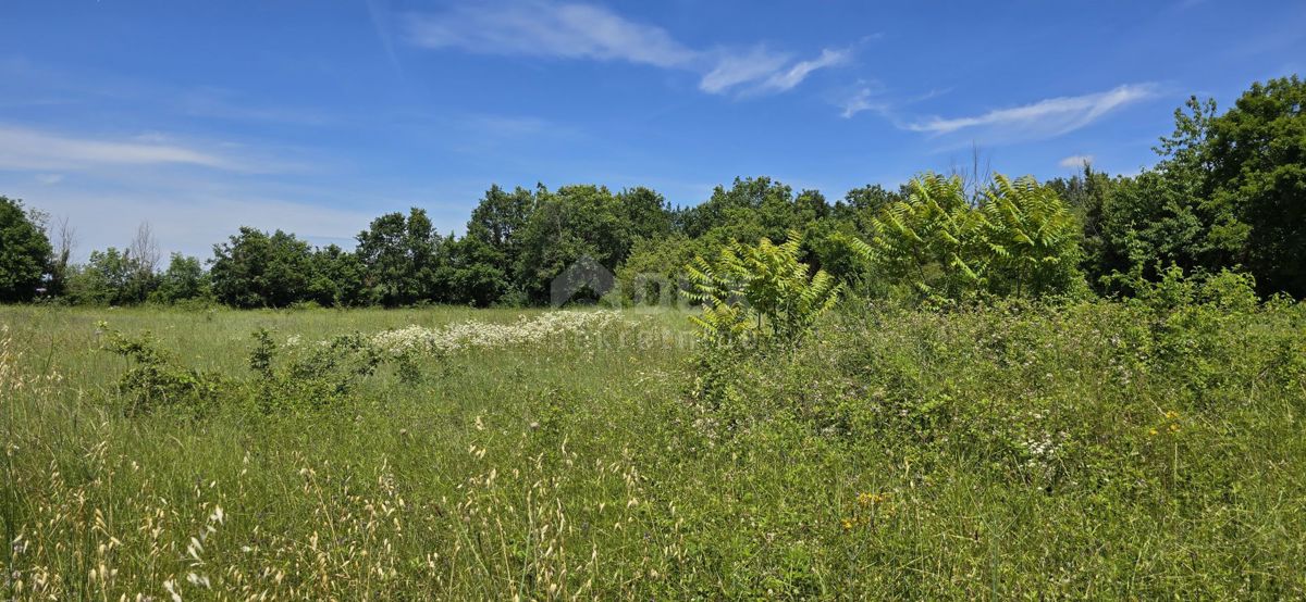 Terreno Svetvinčenat, 1.152m2