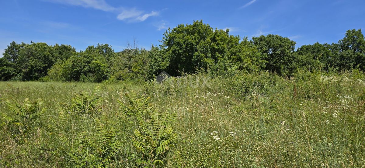 Terreno Svetvinčenat, 1.152m2