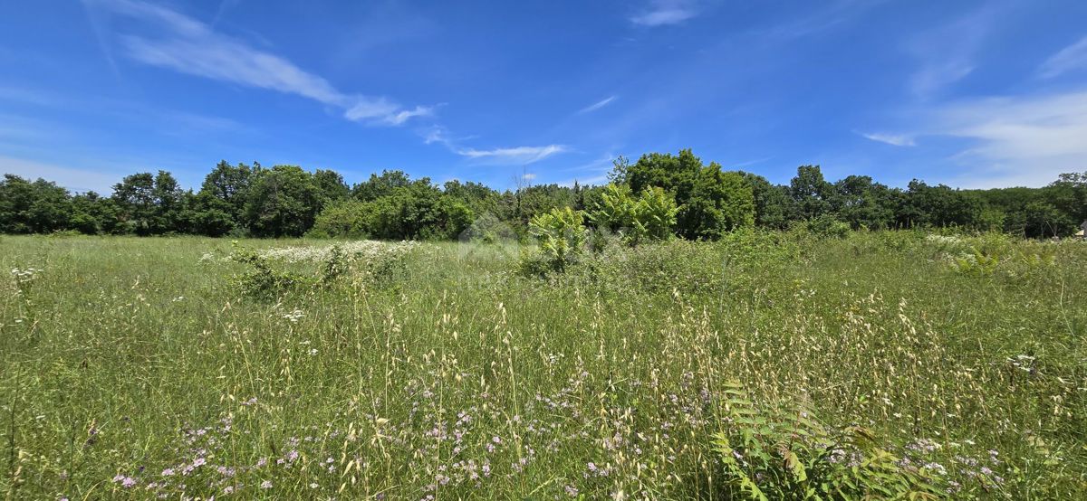 Terreno Svetvinčenat, 1.152m2