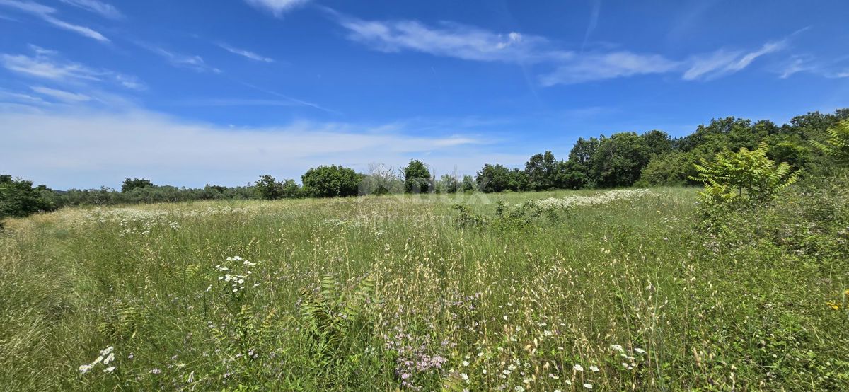 Terreno Svetvinčenat, 1.152m2