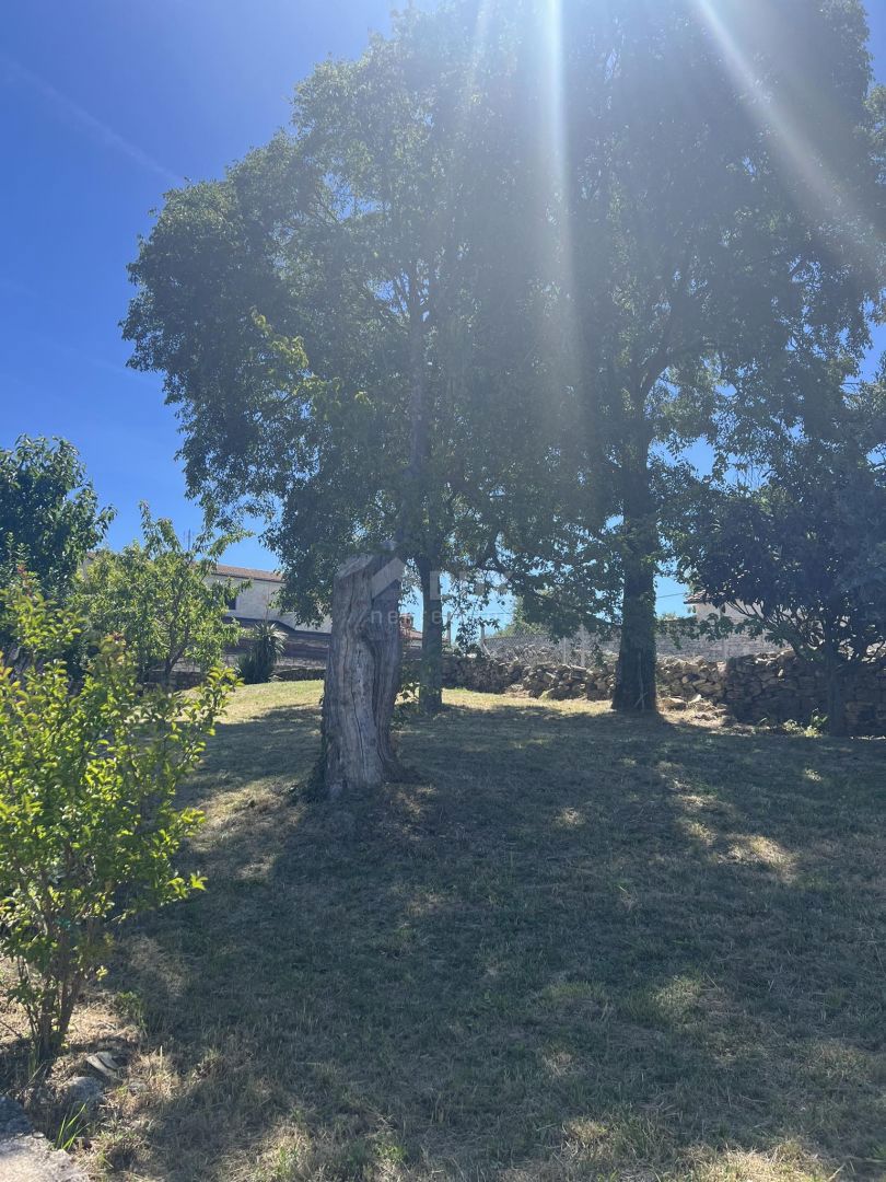 ISTRIA, VIŠNJAN - Tenuta di due case in pietra circondate dalla natura e con vista sul mare