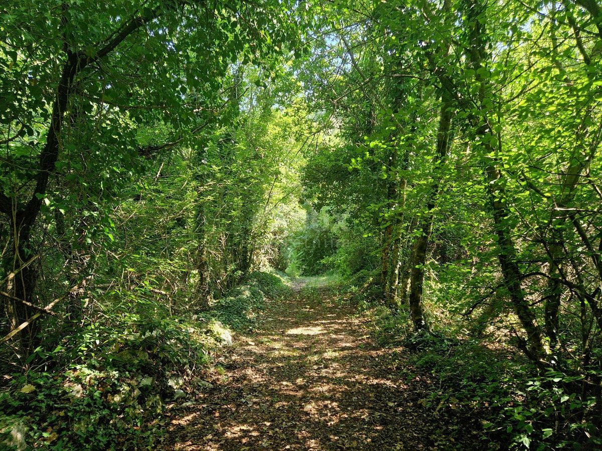 ISTRIA, ŽMINJ - Una spaziosa oasi di pace e potenziale