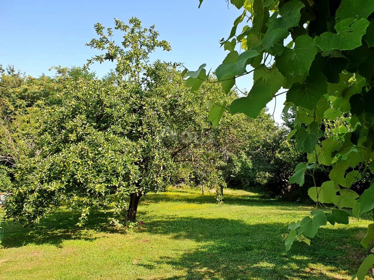 ISTRIA, ŽMINJ - Una spaziosa oasi di pace e potenziale