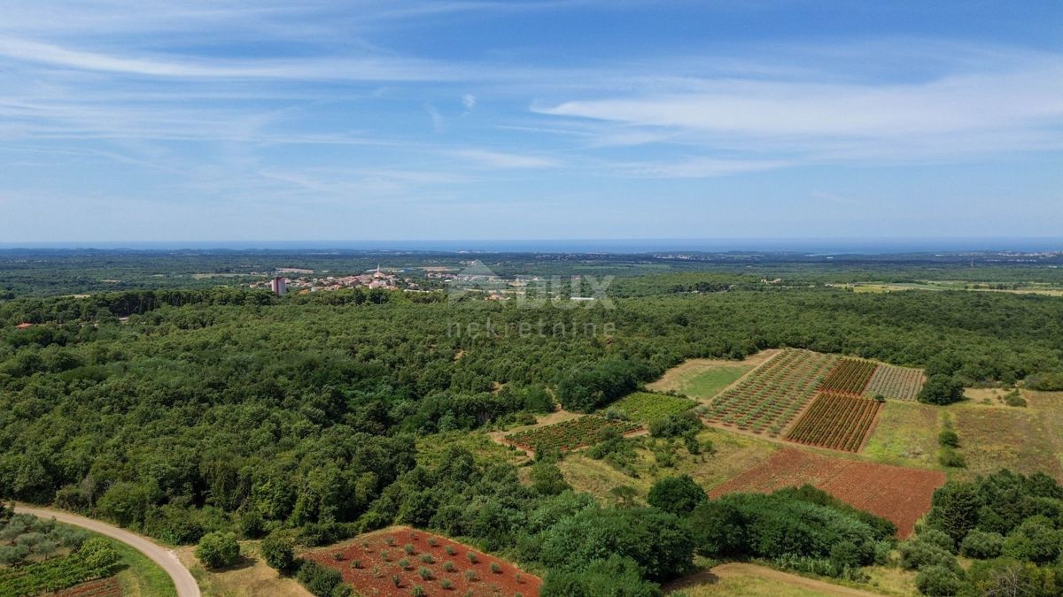 ISTRIA, VIŠNJAN - Una bellezza in pietra con vista panoramica sul mare