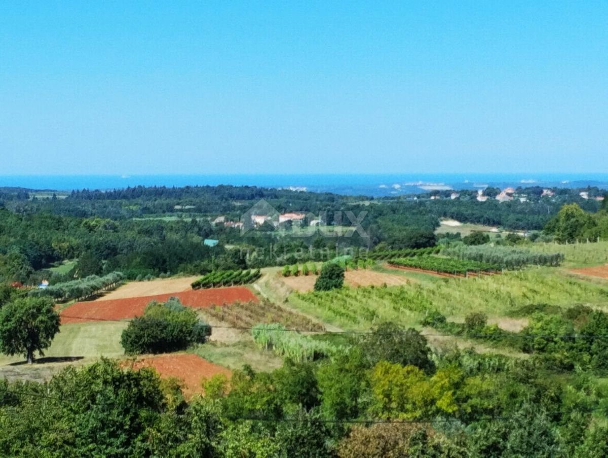 ISTRIA, VIŽINADA - Villa di lusso con piscina a sfioro