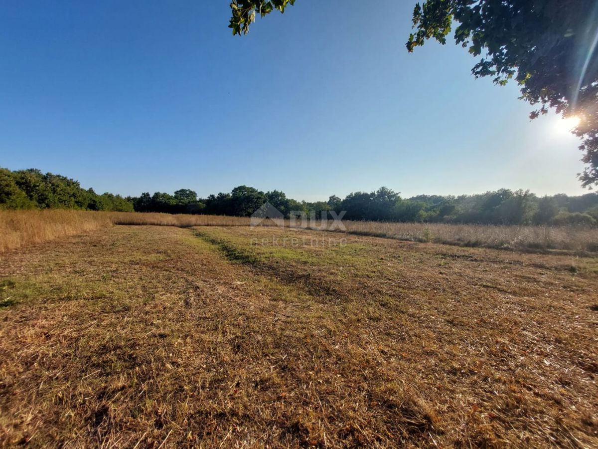 ISTRIA, MARČANA - Terreno edificabile libero su due lati immerso nella natura