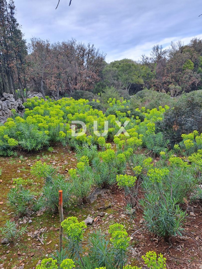 Terreno Punta Križa, Mali Lošinj, 7.300m2