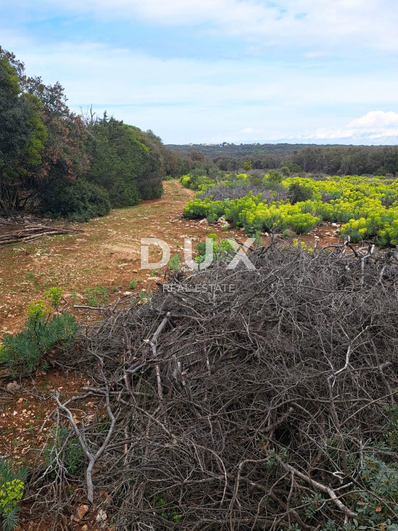 Terreno Punta Križa, Mali Lošinj, 7.300m2