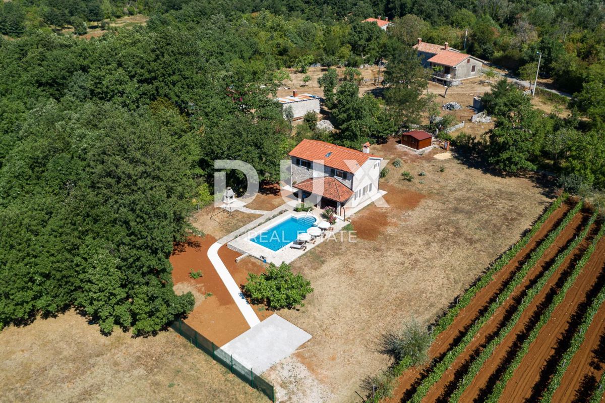 ISTRIA, LABIN - Villa indipendente in pietra con piscina