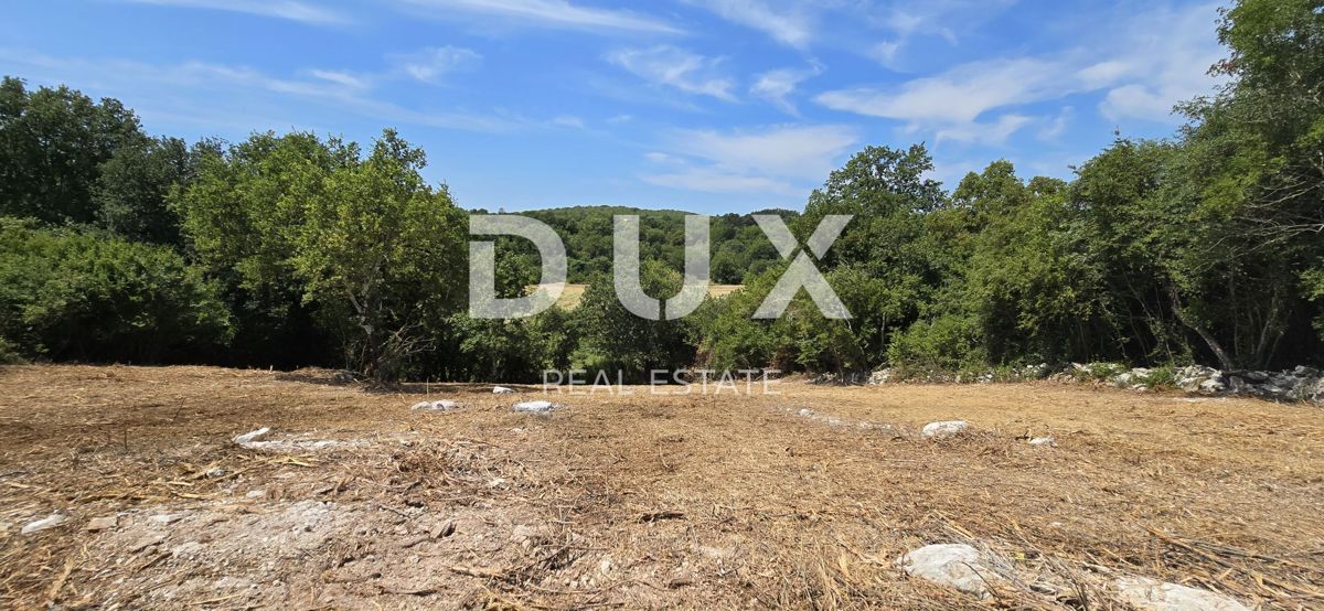 ISTRIA, ROVIGNO - Terreno edificabile vicino alla città