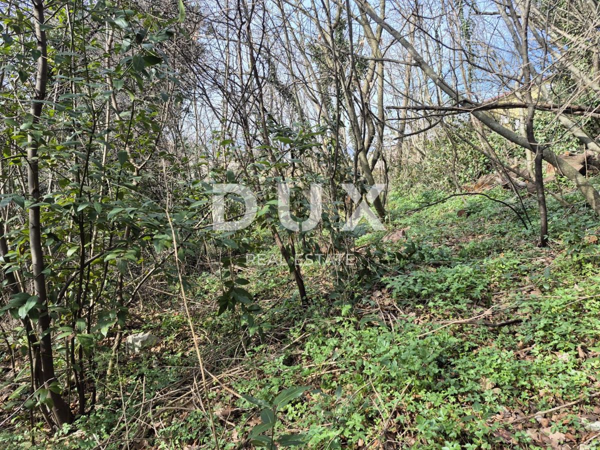 Terreno Buzdohanj, Čavle, 3.472m2