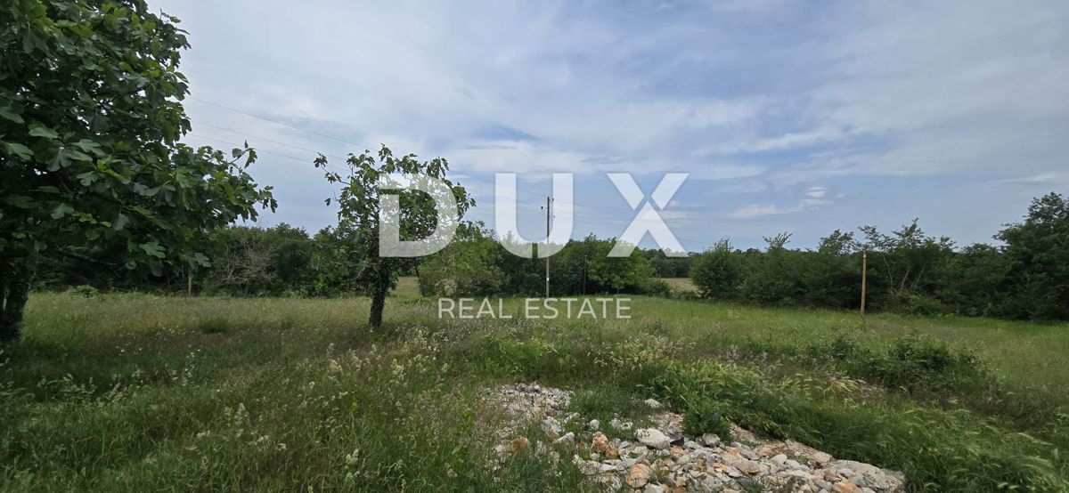 ISTRIA, LABIN - Casa da ristrutturare con ampio terreno edificabile e tanta privacy