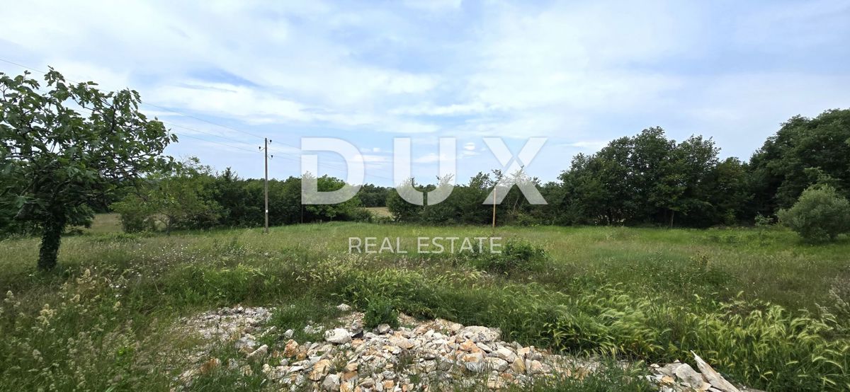 ISTRIA, LABIN - Casa da ristrutturare con ampio terreno edificabile e tanta privacy