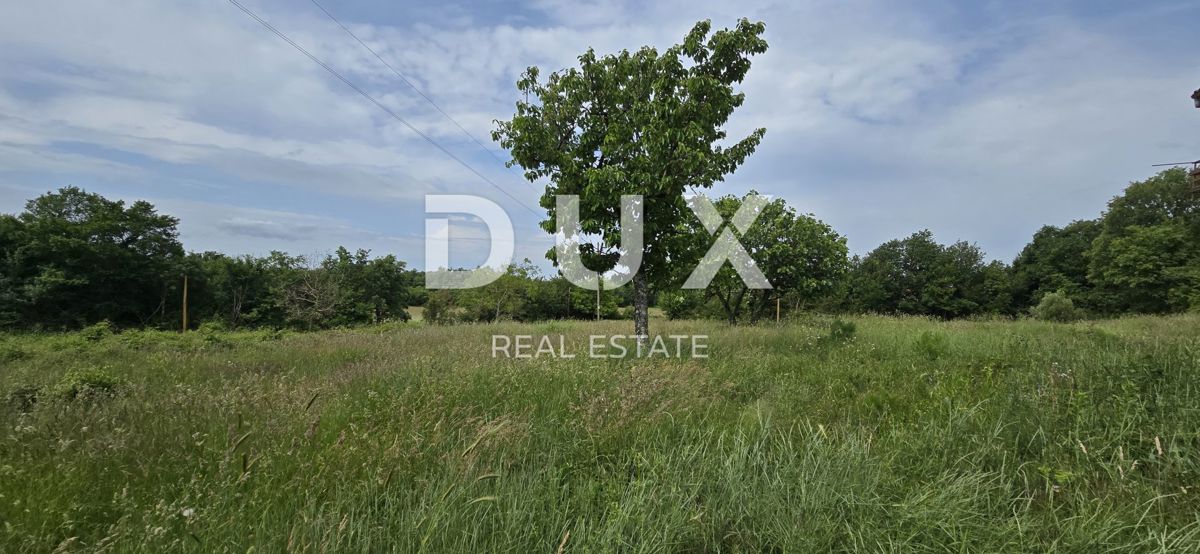 ISTRIA, LABIN - Casa da ristrutturare con ampio terreno edificabile e tanta privacy