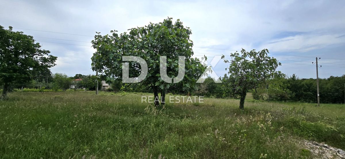 ISTRIA, LABIN - Casa da ristrutturare con ampio terreno edificabile e tanta privacy