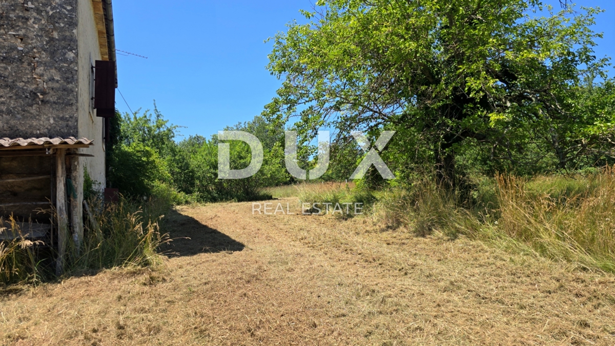 ISTRIA, VIŽINADA - Spaziosa tenuta autentica