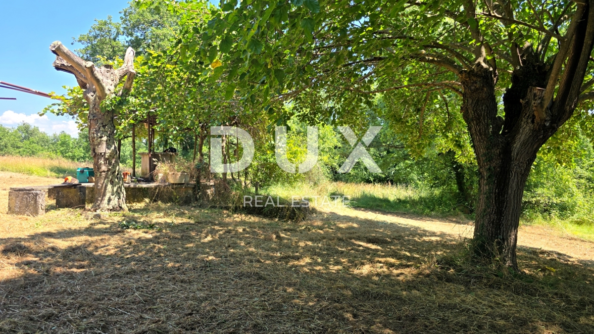 ISTRIA, VIŽINADA - Spaziosa tenuta autentica
