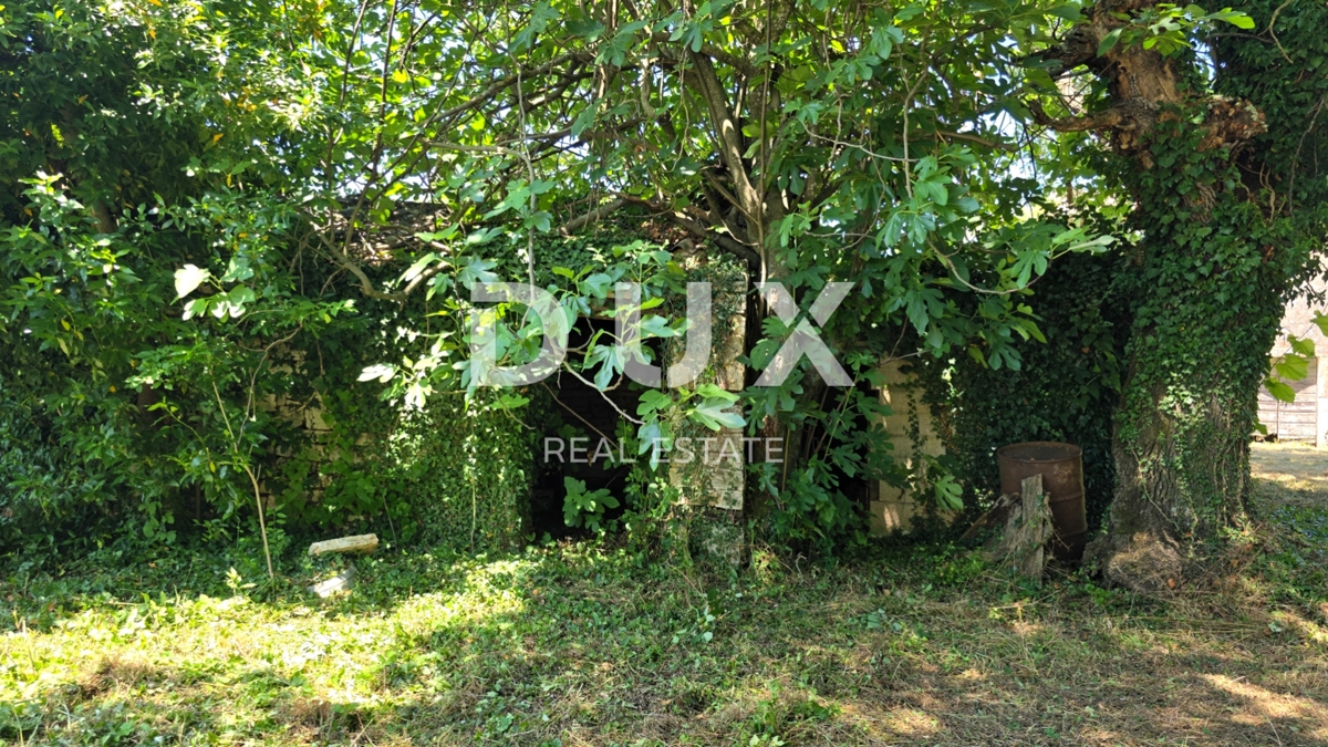 ISTRIA, VIŽINADA - Spaziosa tenuta autentica