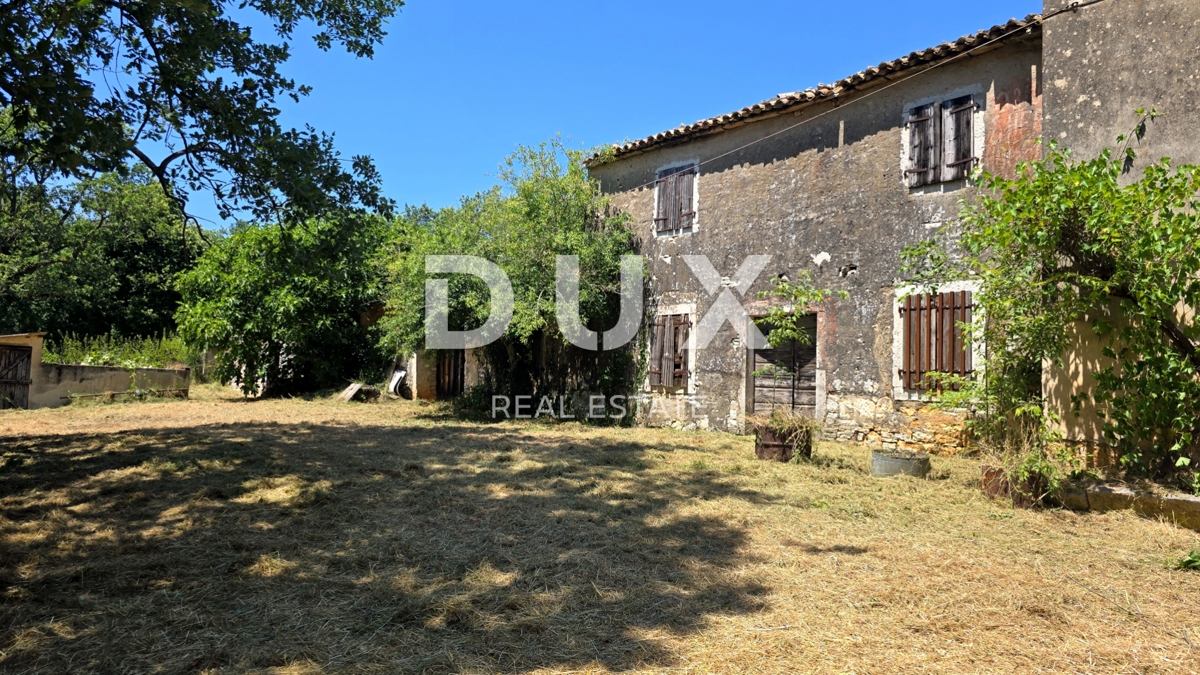 ISTRIA, VIŽINADA - Spaziosa tenuta autentica