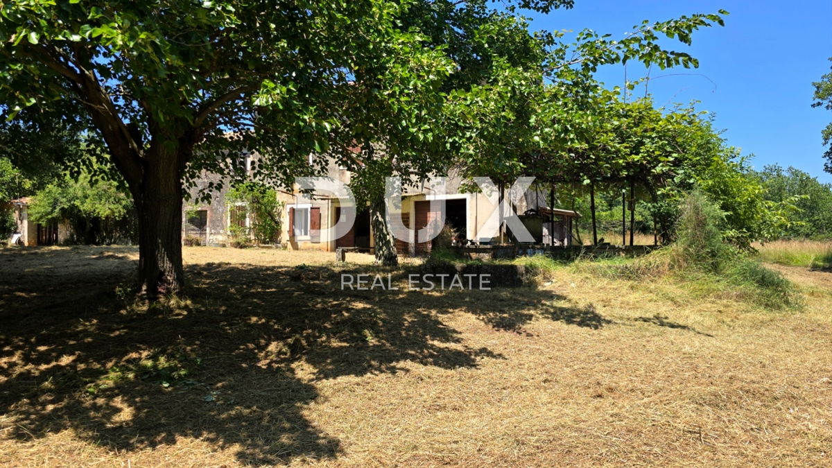 ISTRIA, VIŽINADA - Spaziosa tenuta autentica