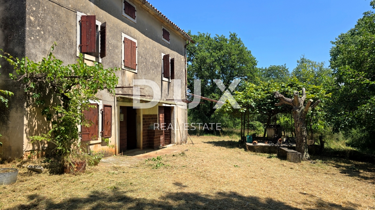 ISTRIA, VIŽINADA - Spaziosa tenuta autentica