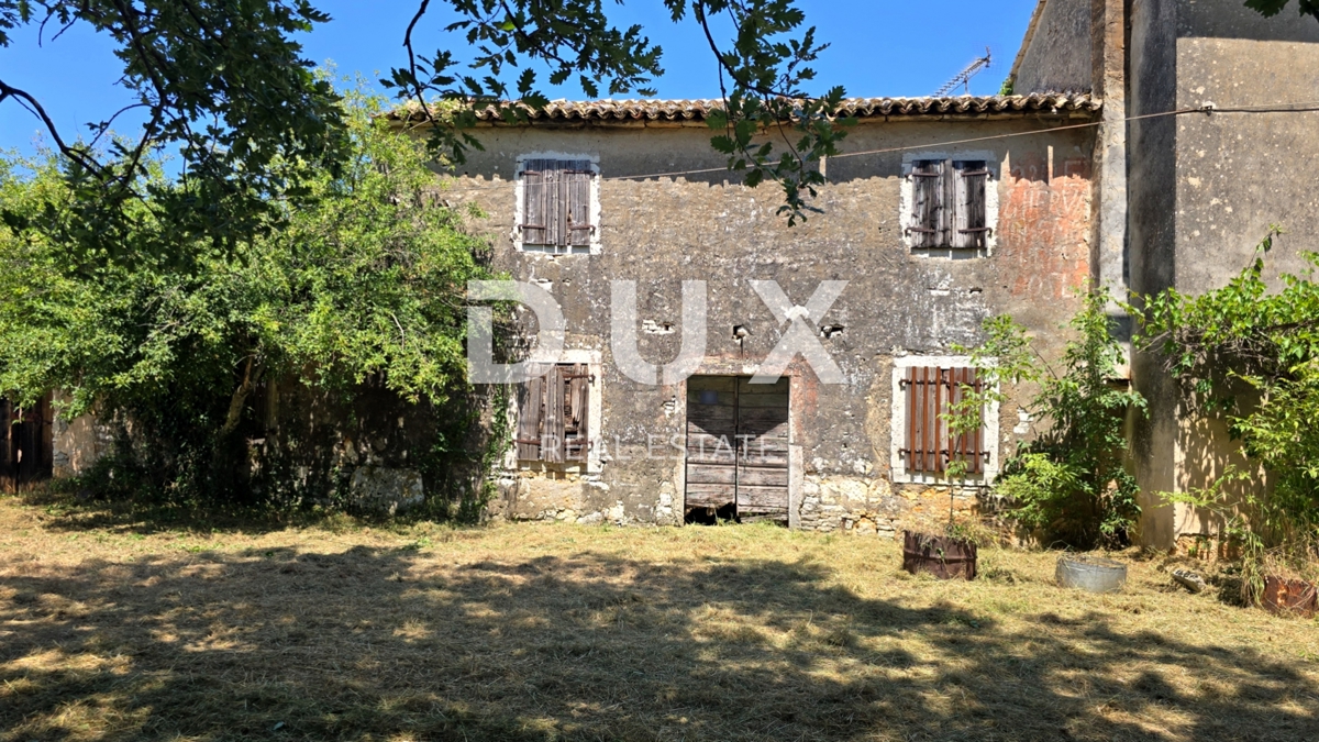 ISTRIA, VIŽINADA - Spaziosa tenuta autentica