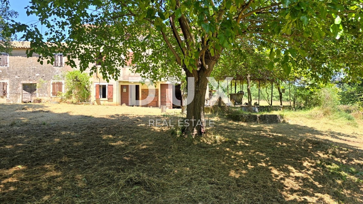 ISTRIA, VIŽINADA - Spaziosa tenuta autentica