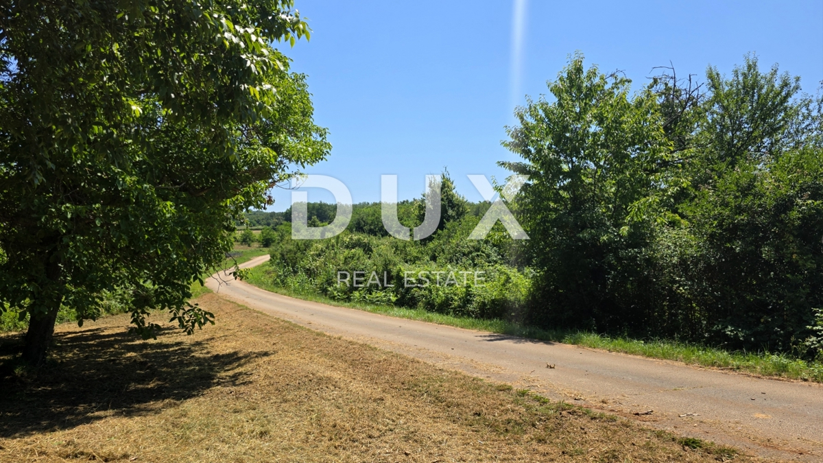 ISTRIA, VIŽINADA - Spaziosa tenuta autentica