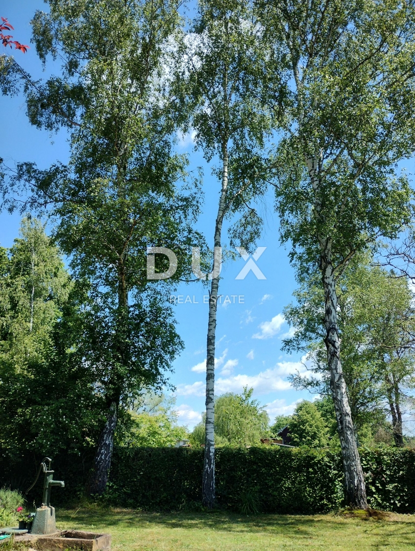 Casa Lijevo Sredičko, Pisarovina, 1.228m2