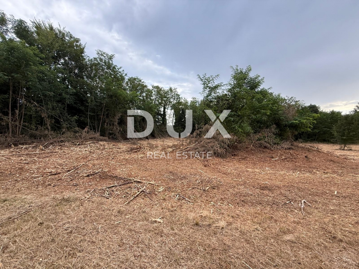 Terreno Labin, 1.300m2
