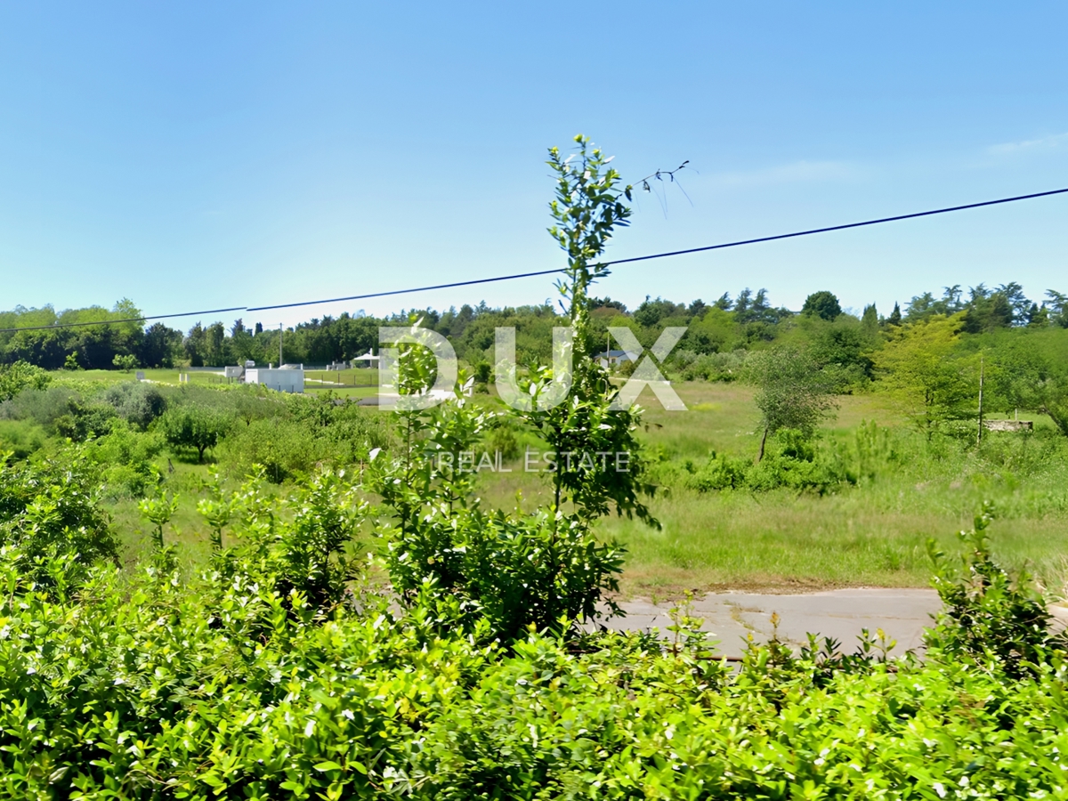 ISTRIA, UMAGO - Terreno edificabile a 80 metri dal mare