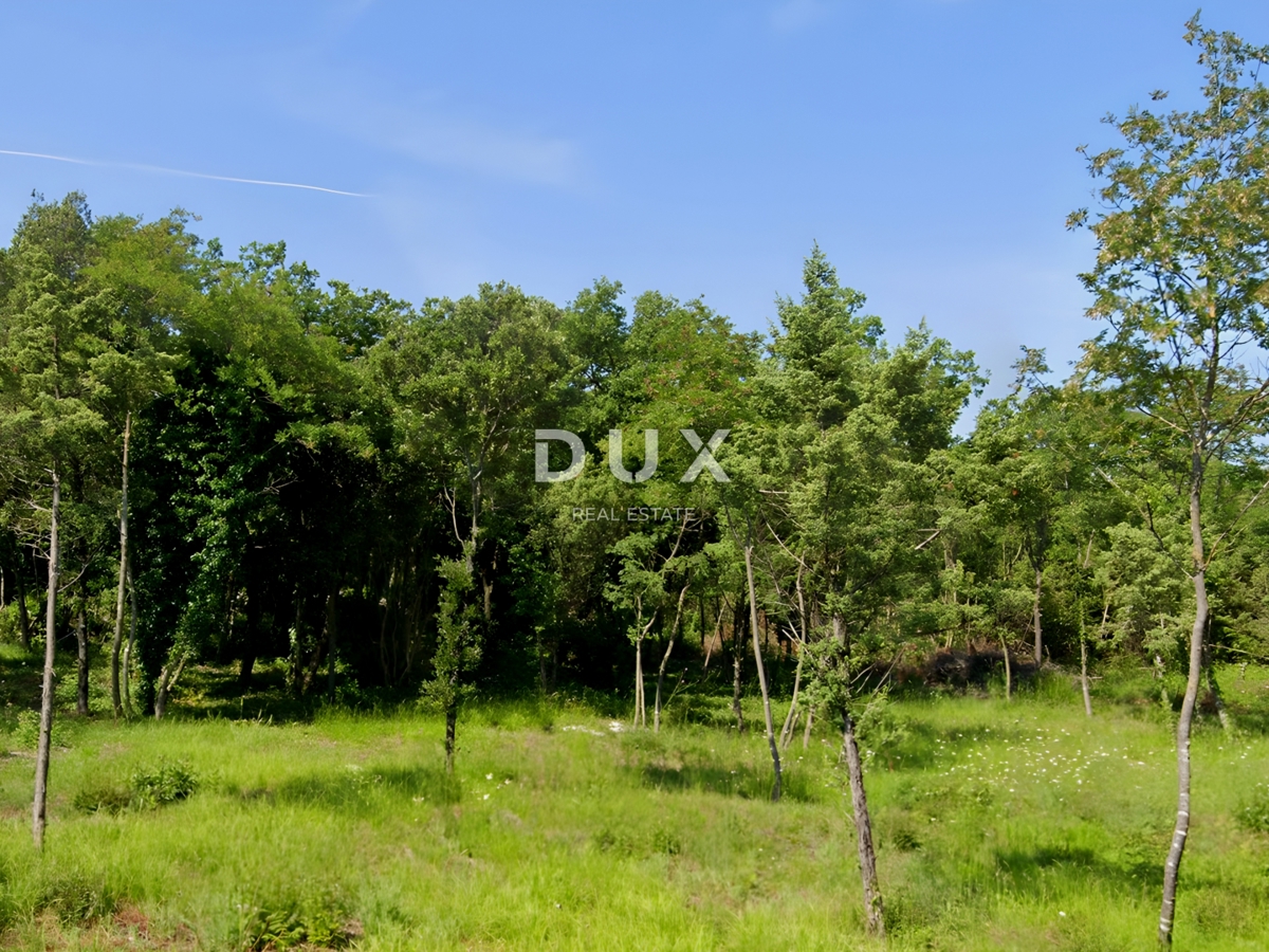 ISTRIA, MARČANA - Terreno edificabile vicino al mare