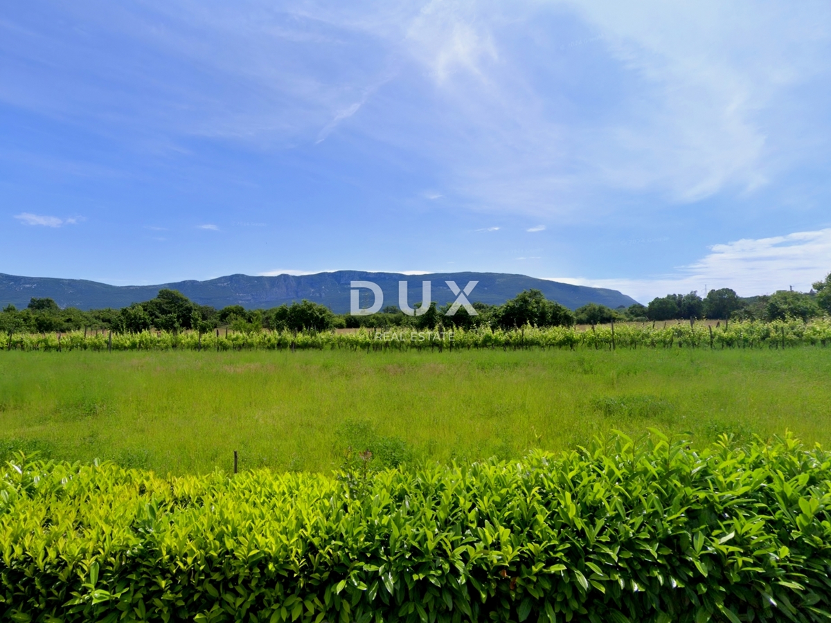 ISTRIA, LABIN - Quattro lotti edificabili con due permessi di costruzione