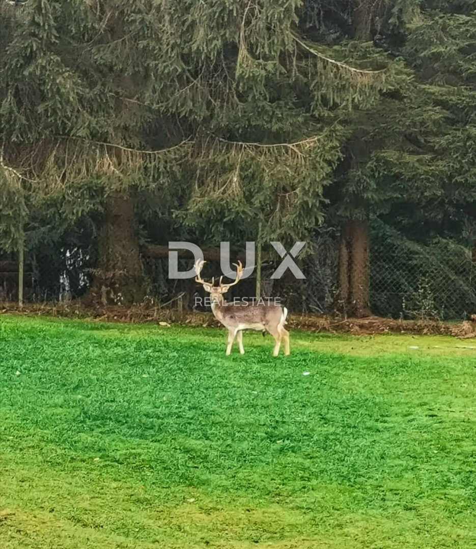 Albergo Jasenak, Ogulin, 300m2