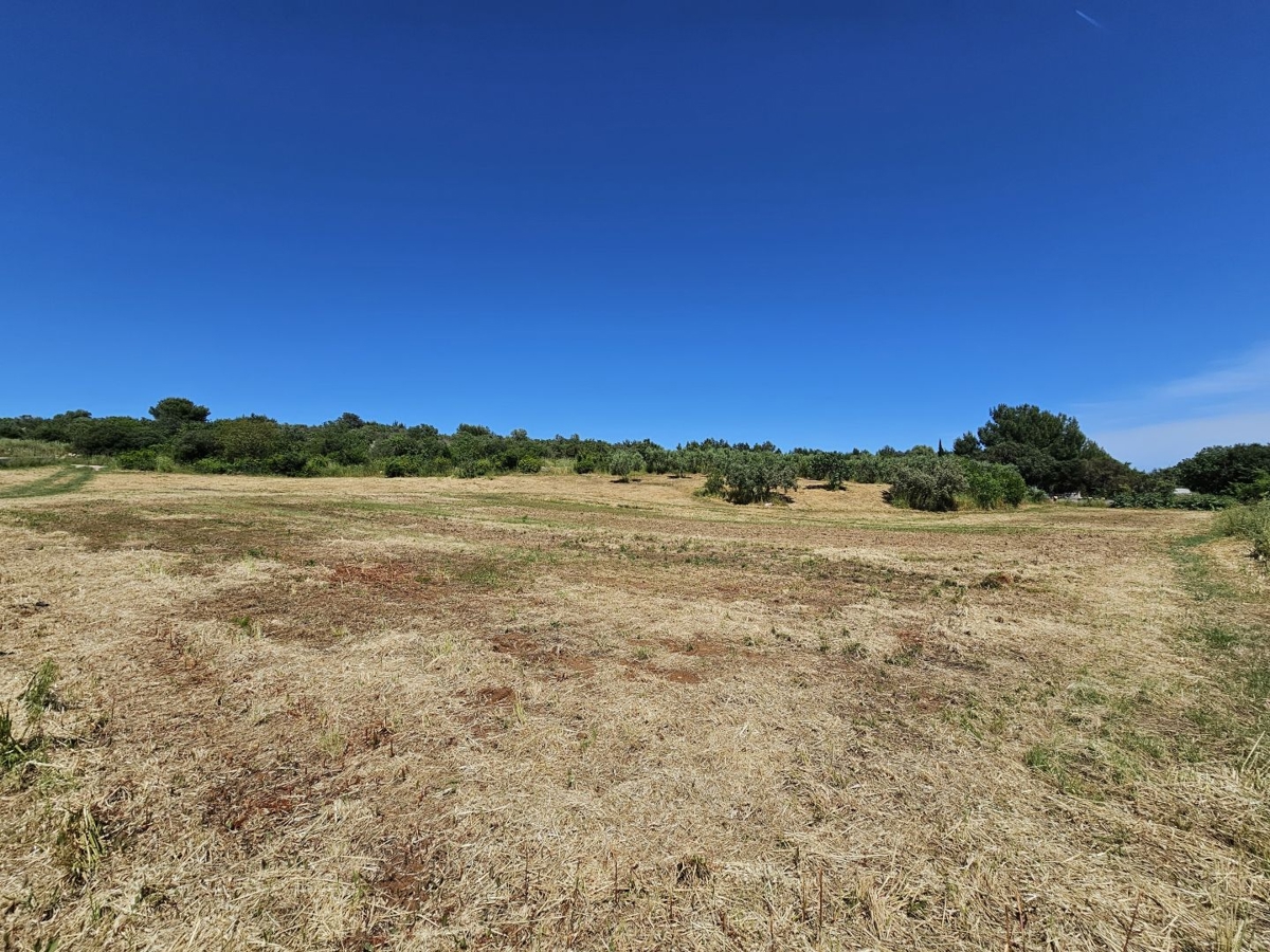 ISTRIA, POMER - Terreno edificabile con vista mare, perfetto per costruire una villa/casa/casa unifamiliare