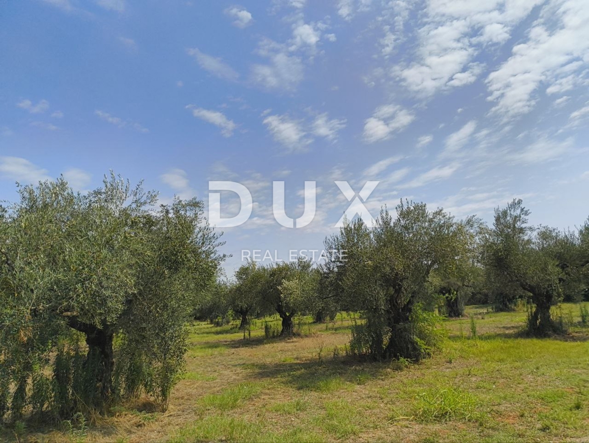 Terreno Labinci, Kaštelir-Labinci, 32.150m2