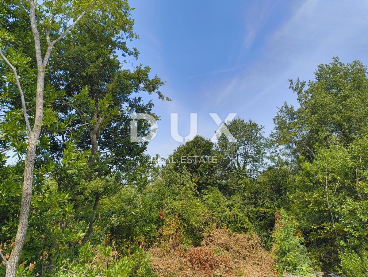 Terreno Labinci, Kaštelir-Labinci, 32.150m2