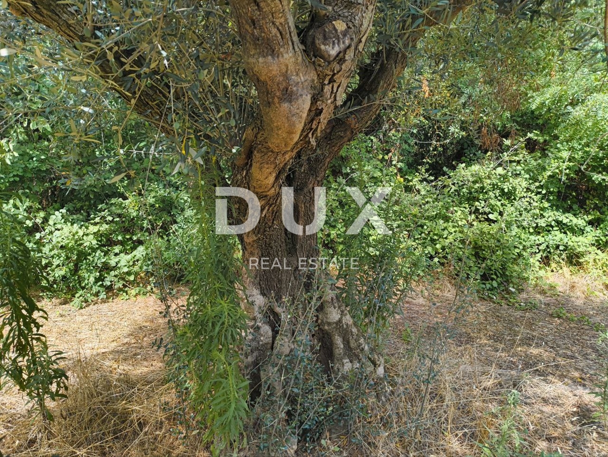 Terreno Labinci, Kaštelir-Labinci, 32.150m2