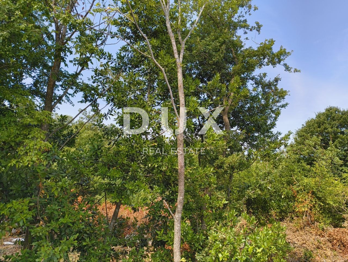 Terreno Labinci, Kaštelir-Labinci, 32.150m2